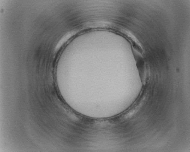 X0000075920978200610151902