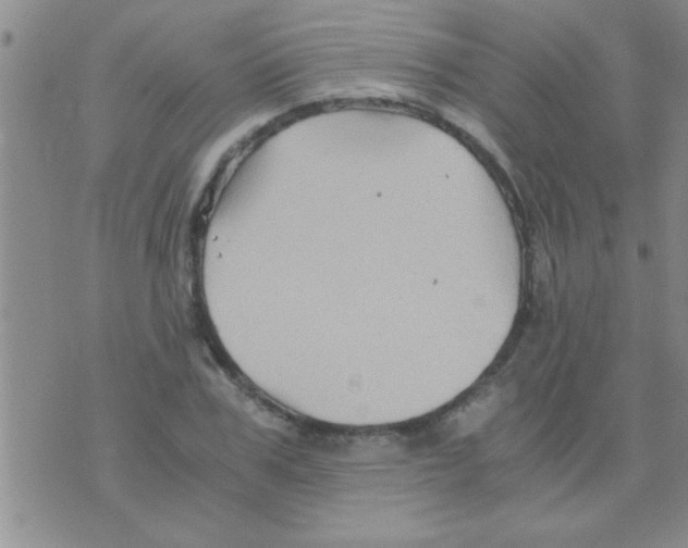 X0000075920979200610151902