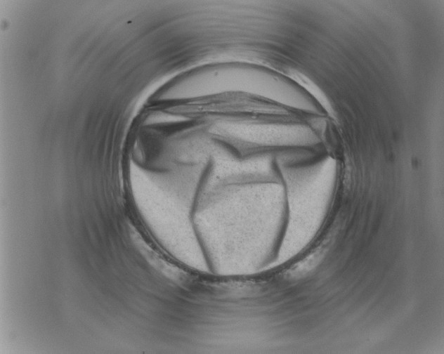 X0000075920980200610151902