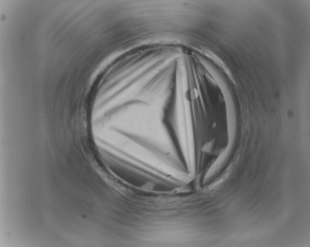 X0000075920981200610151902