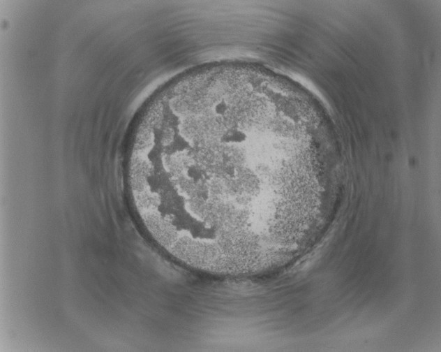 X0000075920983200610151902