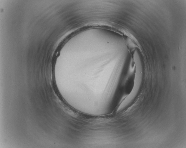 X0000075920984200610151902