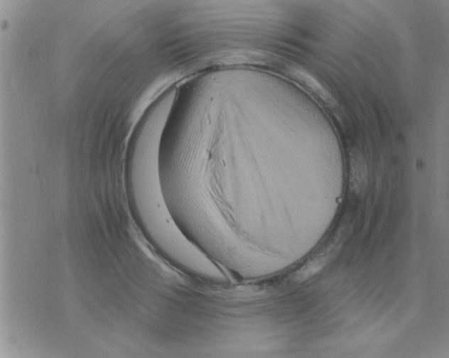 X0000075920986200610151902