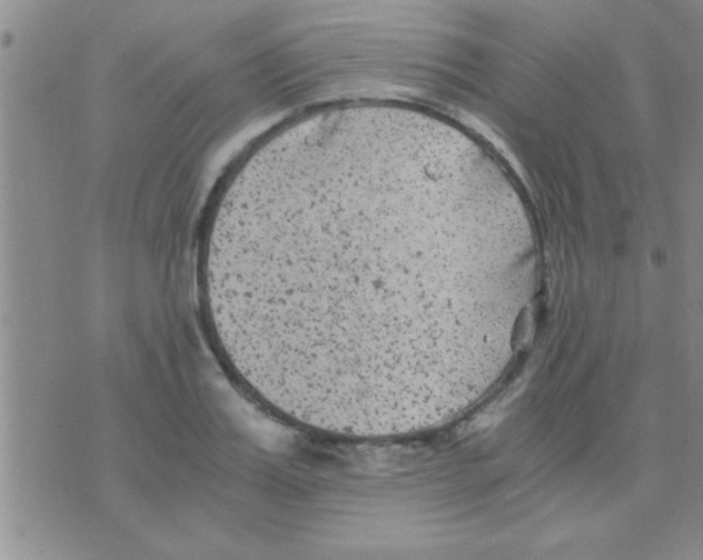 X0000075920987200610151902