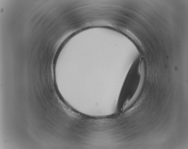 X0000075920988200610151902