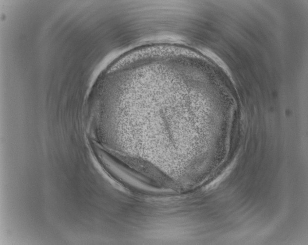 X0000075920989200610151902