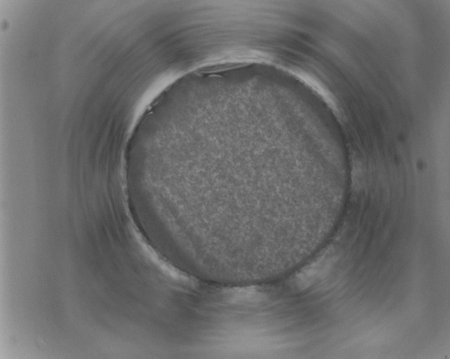 X0000075920990200610151902