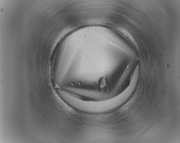 X0000075920992200610151902