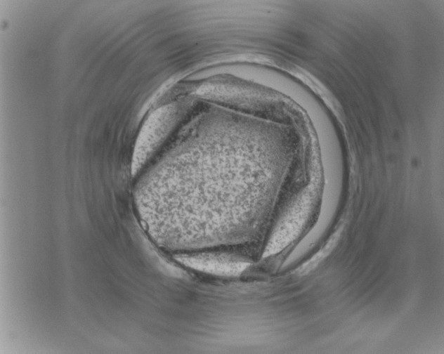 X0000075920993200610151902