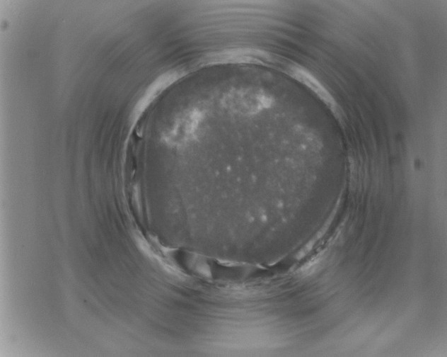 X0000075920994200610151902