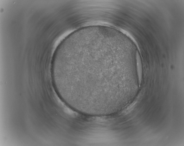 X0000075920995200610151902