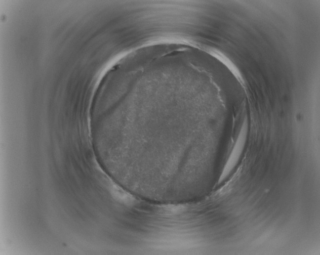 X0000075920996200610151902