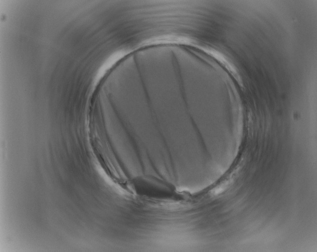 X0000075920998200610151902