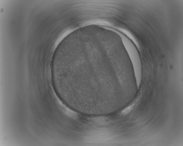 X0000075920999200610151902