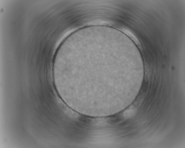 X0000075921000200610151902