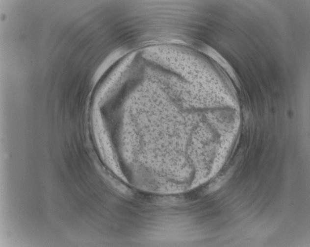 X0000075921002200610151902