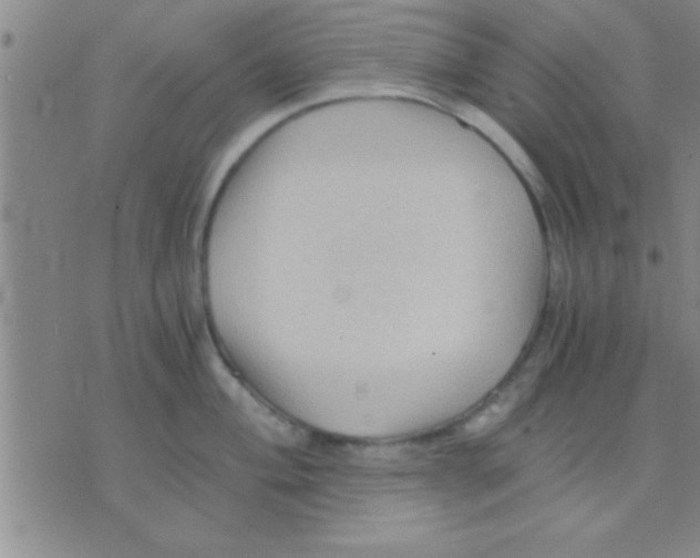 X0000075921004200610151902