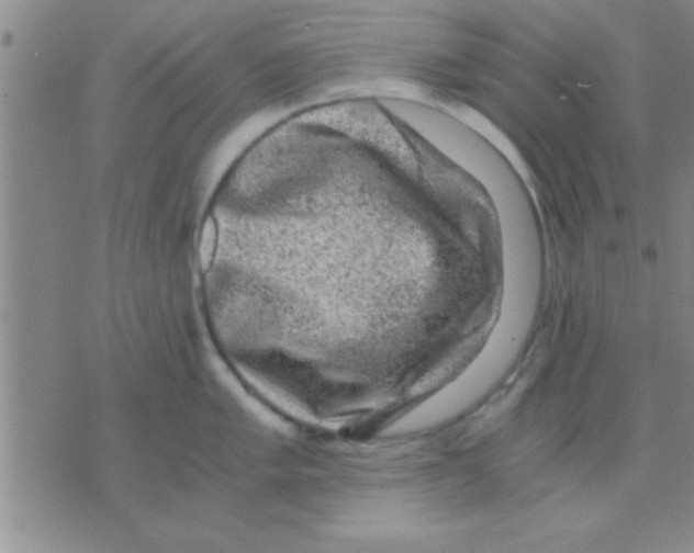 X0000075921005200610151902