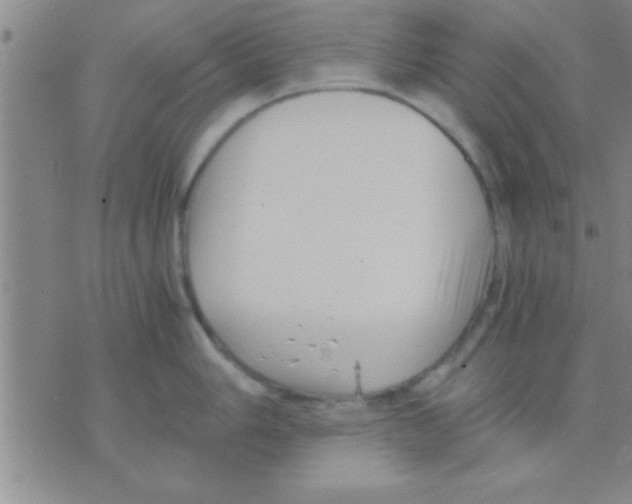 X0000075921006200610151902