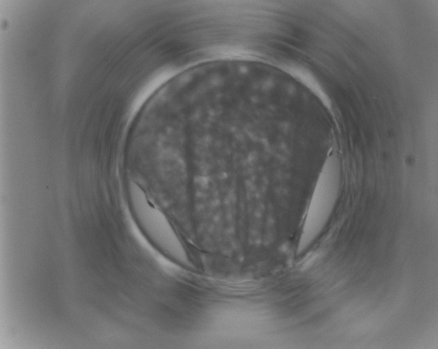 X0000075921007200610151901