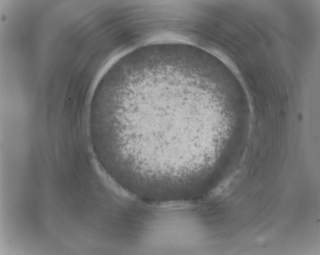 X0000075921008200610151901