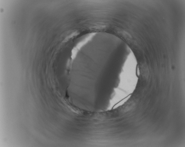 X0000075921009200610151901