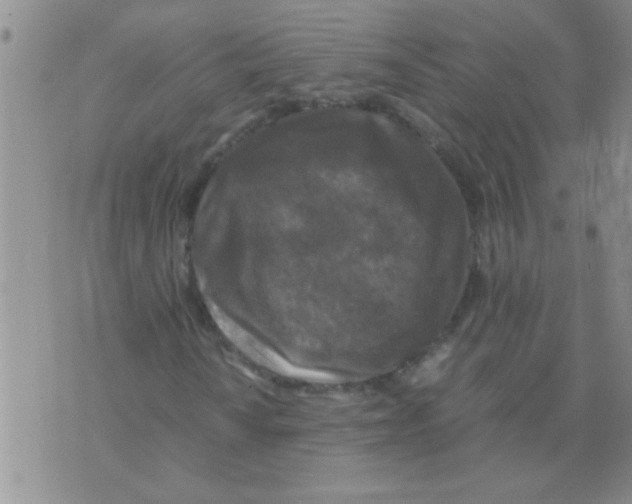 X0000075921010200610151901