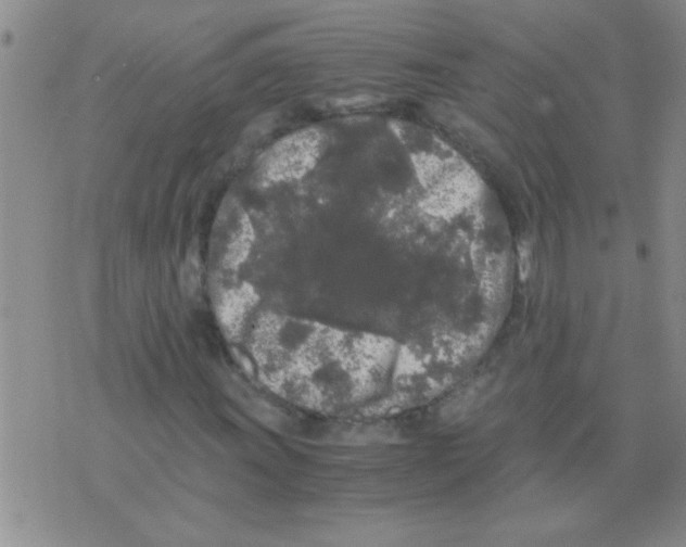 X0000075921011200610151901