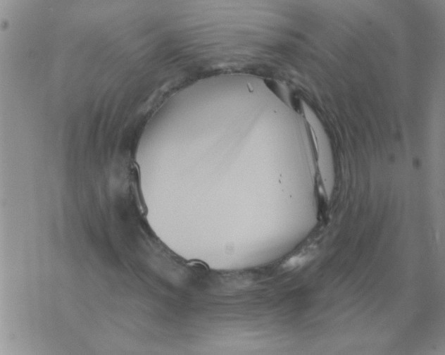 X0000075921012200610151901