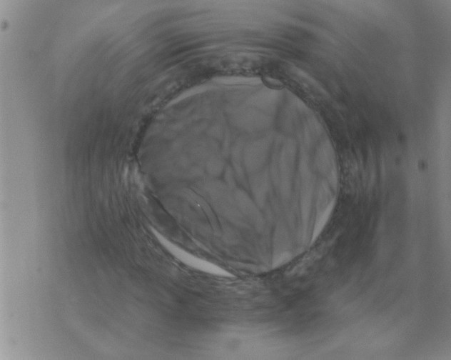 X0000075921013200610151901