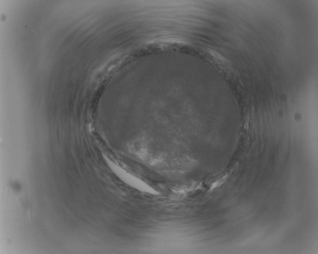 X0000075921014200610151901