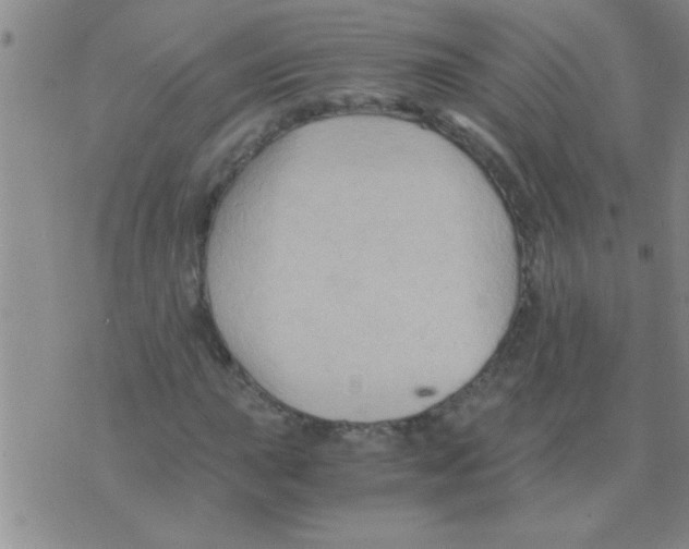 X0000075921015200610151901