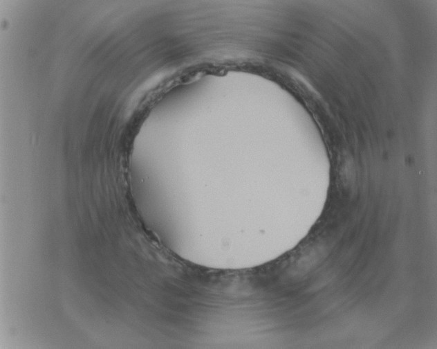 X0000075921016200610151901