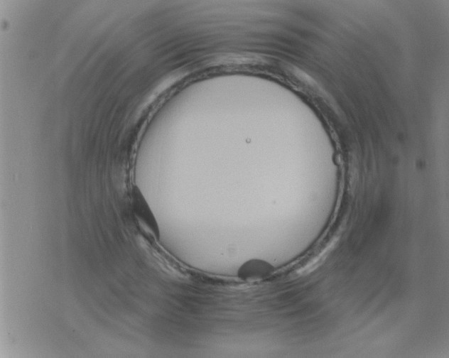 X0000075921017200610151901