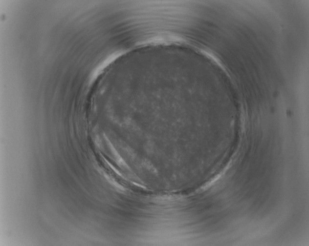 X0000075921018200610151901