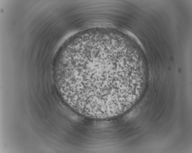 X0000075921019200610151901