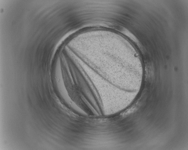 X0000075921020200610151901