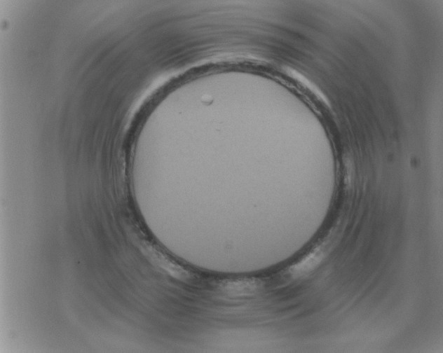 X0000075921021200610151901