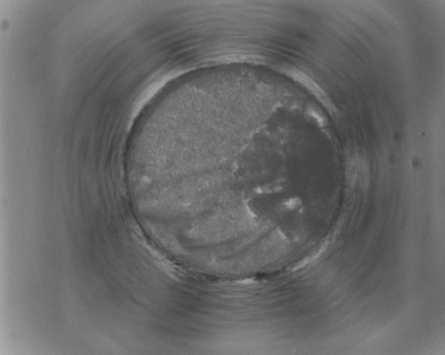 X0000075921023200610151901