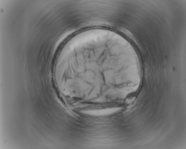 X0000075921024200610151901