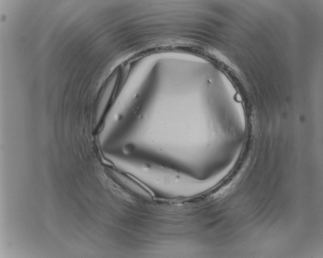 X0000075921025200610151901