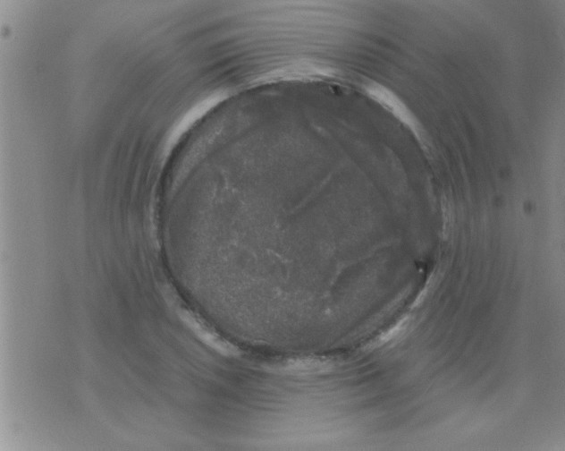 X0000075921026200610151901