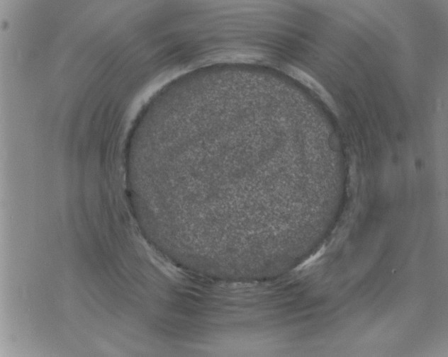 X0000075921027200610151901