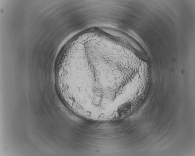 X0000075921028200610151901