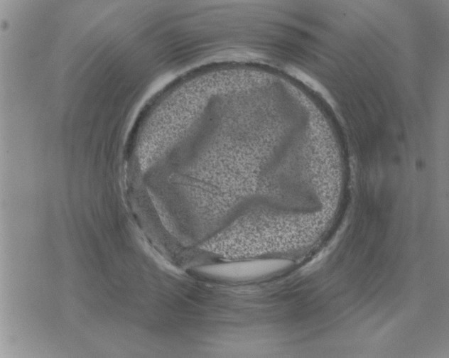 X0000075921029200610151901