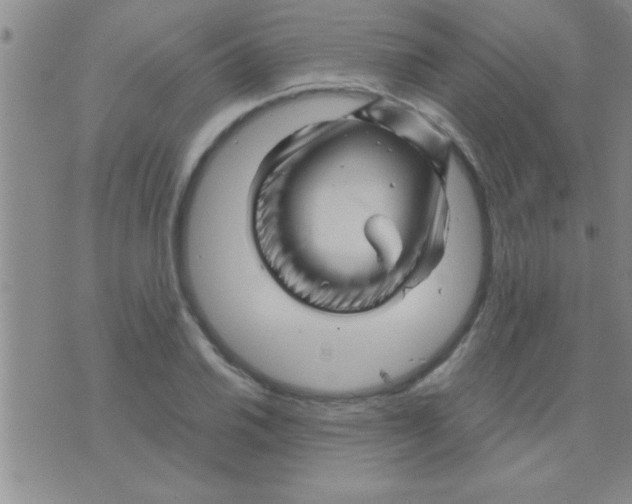 X0000075921030200610151901