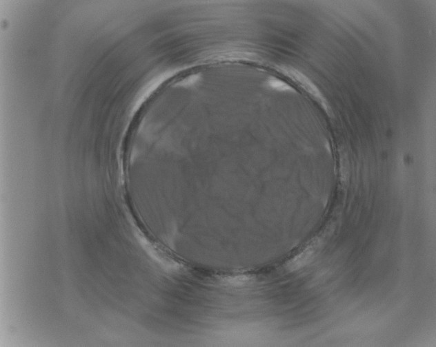 X0000075921031200610151901