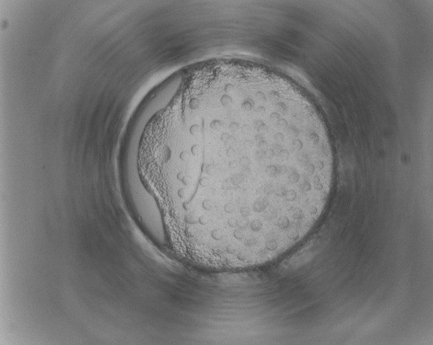 X0000075921032200610151901