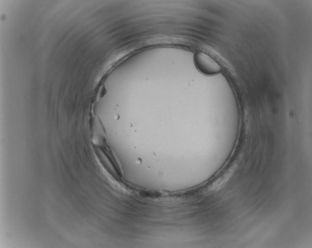 X0000075921033200610151901