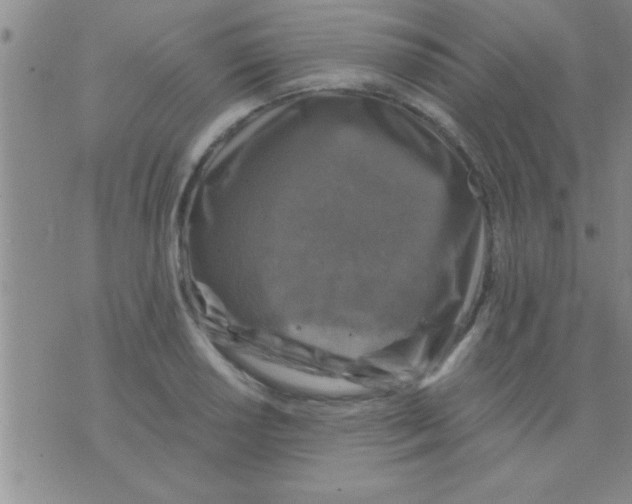 X0000075921034200610151901